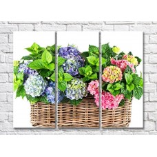 Pictură Rainbow Hydrangea flowers in a basket (500818)