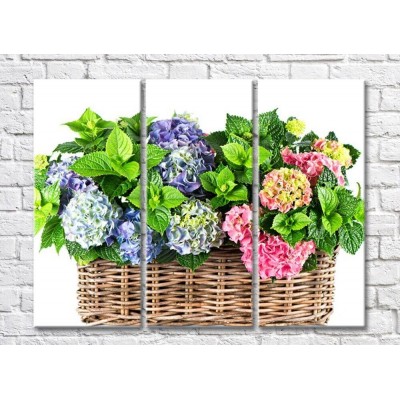 Pictură Rainbow Hydrangea flowers in a basket (500818)