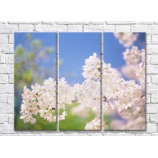 Pictură Rainbow Blooming sakura branches against the sky (500815)