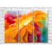 Pictură Rainbow Large orange gerbera flower above water (500413)