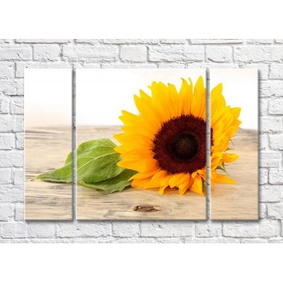 Pictură Rainbow Large sunflower flower and leaves (500414)