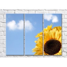 Pictură Rainbow Close up of a sunflower against the sky with clouds (500416)