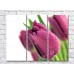 Pictură Rainbow Large purple tulip flower with dewdrops (500422)