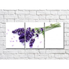 Pictură Rainbow Lavender bouquet on white background (500426)