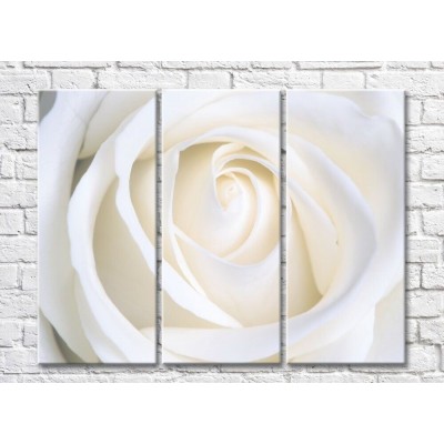 Pictură Rainbow Cream Rose Petals (500429)