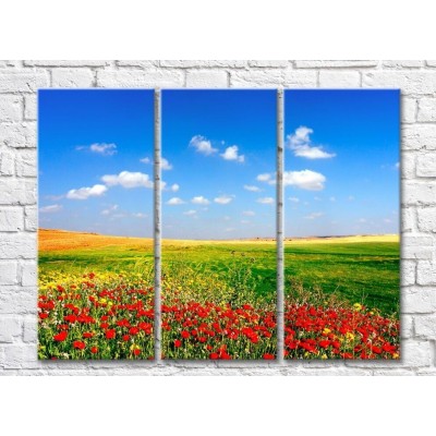 Pictură Rainbow Poppy glade against the background of wheat fields and blue sky (500439)