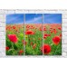 Pictură Rainbow Poppy open spaces against the sky (500443)