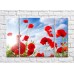 Pictură Rainbow Poppy flowers in sunbeams on a sky background (500445)