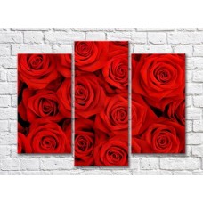 Картина Rainbow Triptych of red roses (500698)