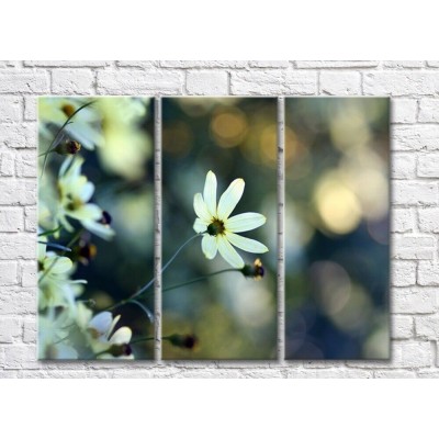 Pictură Rainbow Small white flowers on an abstract dark background (500447)