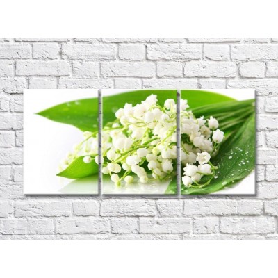 Pictură Rainbow Small lily of the valley flowers on green leaves (500450)