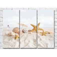 Pictură Rainbow Starfish and seashells in the sand (3469153)