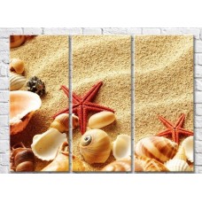 Pictură Rainbow Starfish and seashells on a sandy beach (3469154)