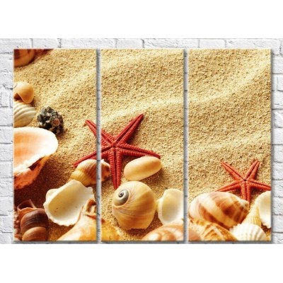 Pictură Rainbow Starfish and seashells on a sandy beach (3469154)