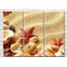 Pictură Rainbow Starfish and seashells on a sandy beach (3469154)