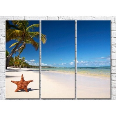 Pictură Rainbow On the beach with palm trees starfish (3469159)