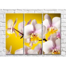 Pictură Rainbow Delicate pink orchids on a yellow background (500454)