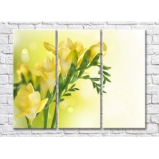 Pictură Rainbow Delicate yellow freesia flowers (500461)