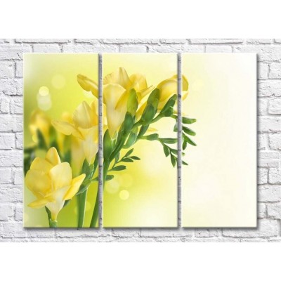 Pictură Rainbow Delicate yellow freesia flowers (500461)