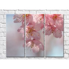 Pictură Rainbow Delicate sakura flowers on a gray background (500463)