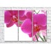 Картина Rainbow Huge purple orchid flowers (500471)