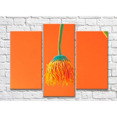 Картина Rainbow Dandelion flower facing down on orange background (500480)