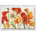 Картина Rainbow Orange and White Poppies (3572564)