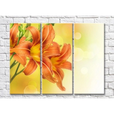 Pictură Rainbow Orange lilies on a yellow background (500491)