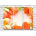 Pictură Rainbow Orange tulip flowers and easter eggs (500498)