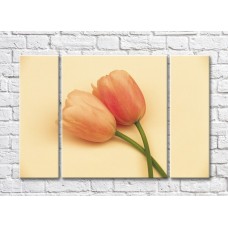 Картина Rainbow Peach tulips on a beige background (500508)