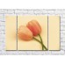 Картина Rainbow Peach tulips on a beige background (500508)