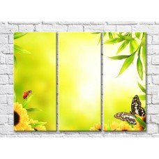 Картина Rainbow Variegated butterfly and ladybug on a yellow green background with plants (500509)