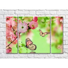 Картина Rainbow Variegated butterfly and sakura branches on a green background (500510)