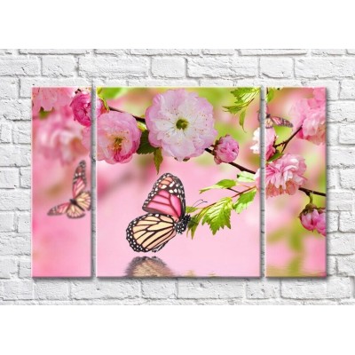 Картина Rainbow Variegated butterfly and sakura branches on a pink background (500511)