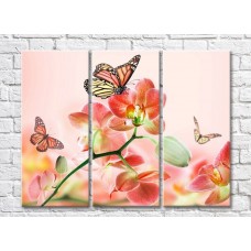 Картина Rainbow Variegated butterflies on coral orchid flowers (500515)