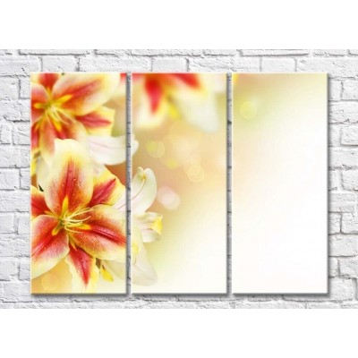 Pictură Rainbow Variegated lily flowers on a light background (500521)