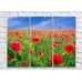 Картина Rainbow Red Poppy Field (3448908)