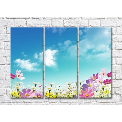 Картина Rainbow Wildflowers against the blue sky (500532)