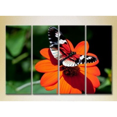 Pictură Rainbow Polyptych Butterfly on a flower 01 (2222242)