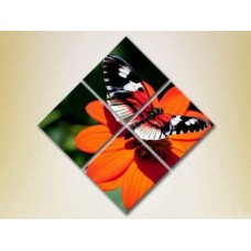 Pictură Rainbow Polyptych Butterfly on a Flower 02 (2222243)