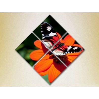 Pictură Rainbow Polyptych Butterfly on a Flower 02 (2222243)