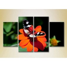 Pictură Rainbow Polyptych Butterfly on a Flower 03 (2222237)