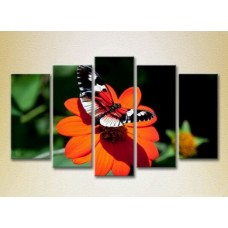 Картина Rainbow Polyptych Butterfly on a Flower 05 (2224642)