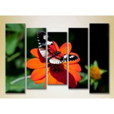 Картина Rainbow Polyptych Butterfly on a flower 06 (2224632)