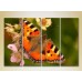 Pictură Rainbow Polyptych Butterfly 01 (2222239)