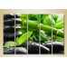 Картина Rainbow Polyptych Bamboo and Massage Stones 03 (2932792)