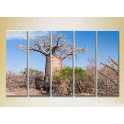 Картина Rainbow Polyptych Baobab 01 (2224802)