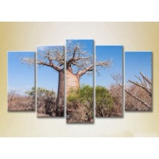 Картина Rainbow Polyptych Baobab 02 (2224804)