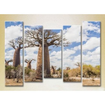 Картина Rainbow Polyptych Baobabs in the Savannah 03 (2224823)