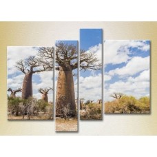 Pictură Rainbow Polyptych Baobabs in the savannah (2223687)